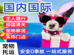 西安机场货运国际宠物托运 【国